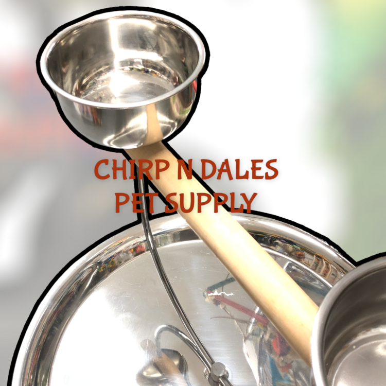 Kings Cages Kings Cages SS 20oz Cup for TT70, B71,B72 & Tabletop Stands