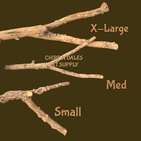 Jolly Jungle Jolly Jungle Multi Branch  Pepper Wood Perch