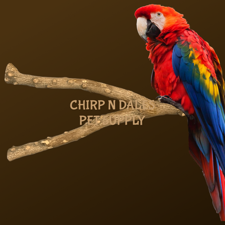 Jolly Jungle Jolly Jungle Multi Branch  Pepper Wood Perch