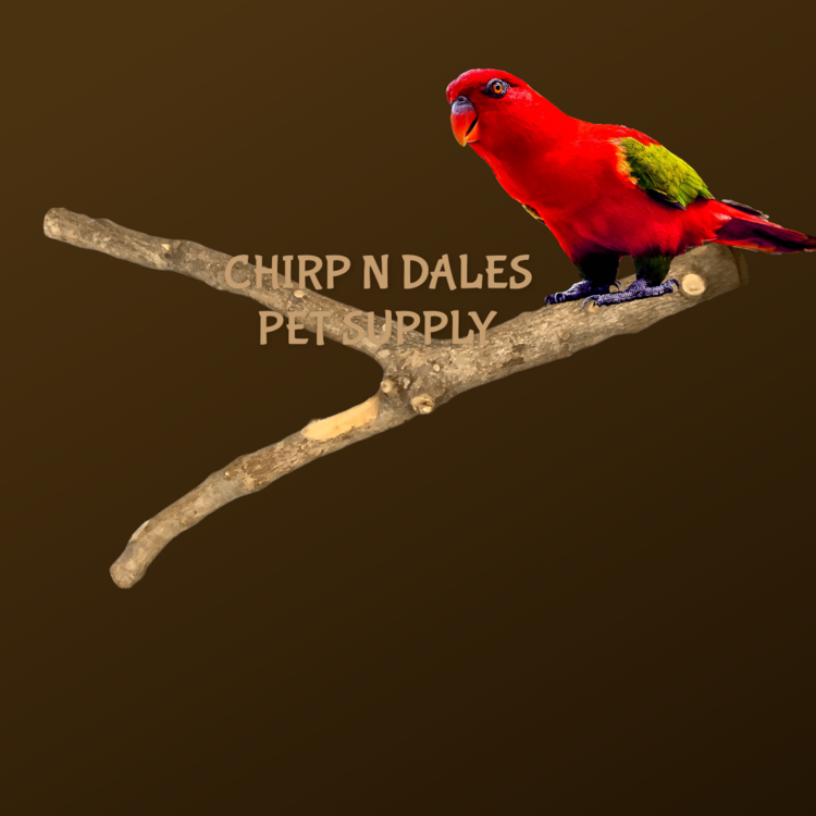 Jolly Jungle Jolly Jungle Multi Branch  Pepper Wood Perch