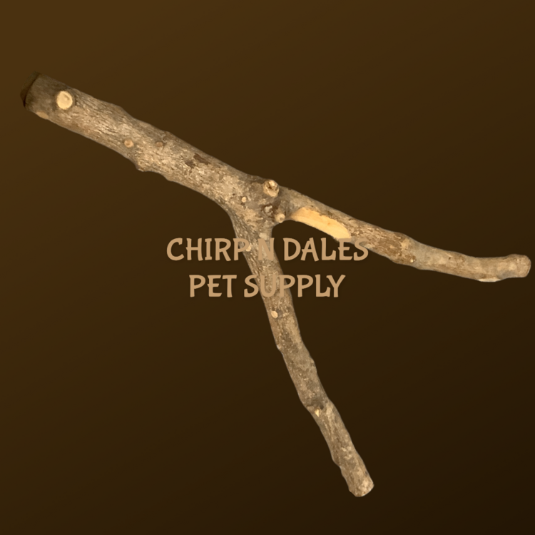 Jolly Jungle Jolly Jungle Multi Branch  Pepper Wood Perch