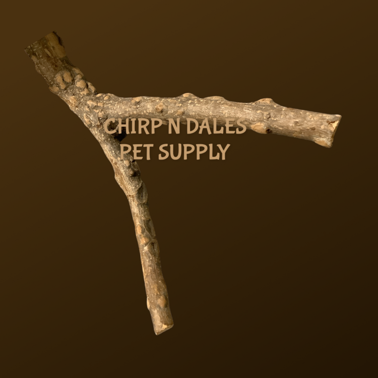 Jolly Jungle Jolly Jungle Multi Branch  Pepper Wood Perch