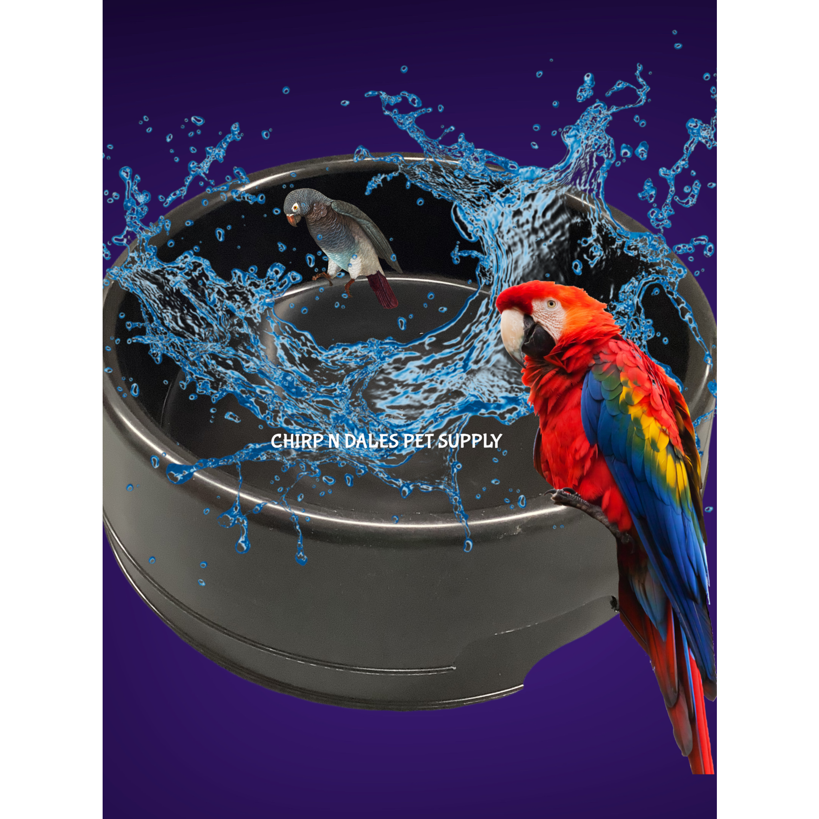 MILLER Miller Little Giant Black Feeder Pan (3 gal)