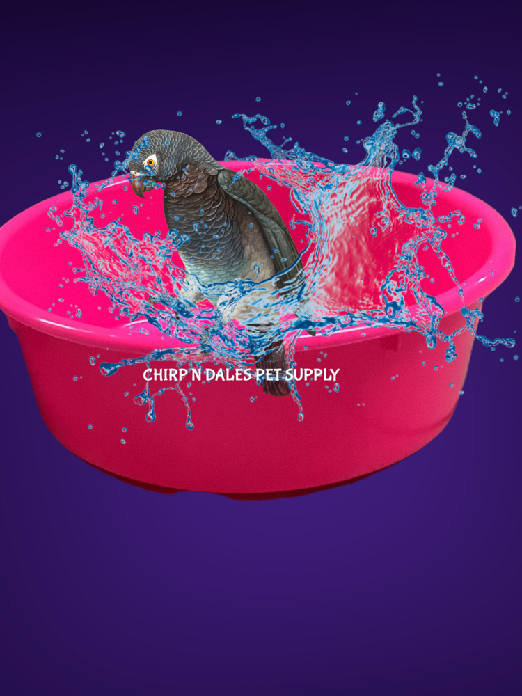 MILLER Miller Plastic Pan  Purple 5qt