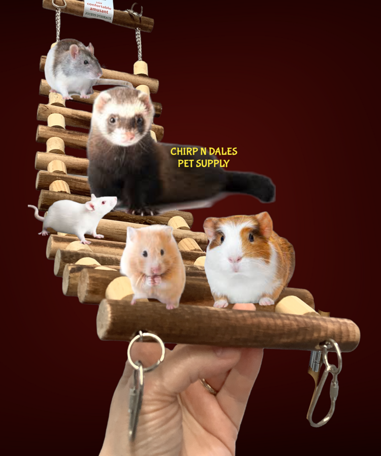 Jolly Jungle Jolly Jungle Natural Rope Ladder with Bamboo Spacer