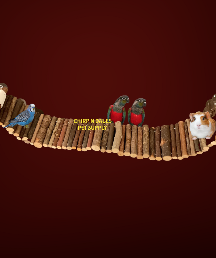 Glitter Pets NATURAL WOOD LADDER FLEXI BIRD WALK A824-2