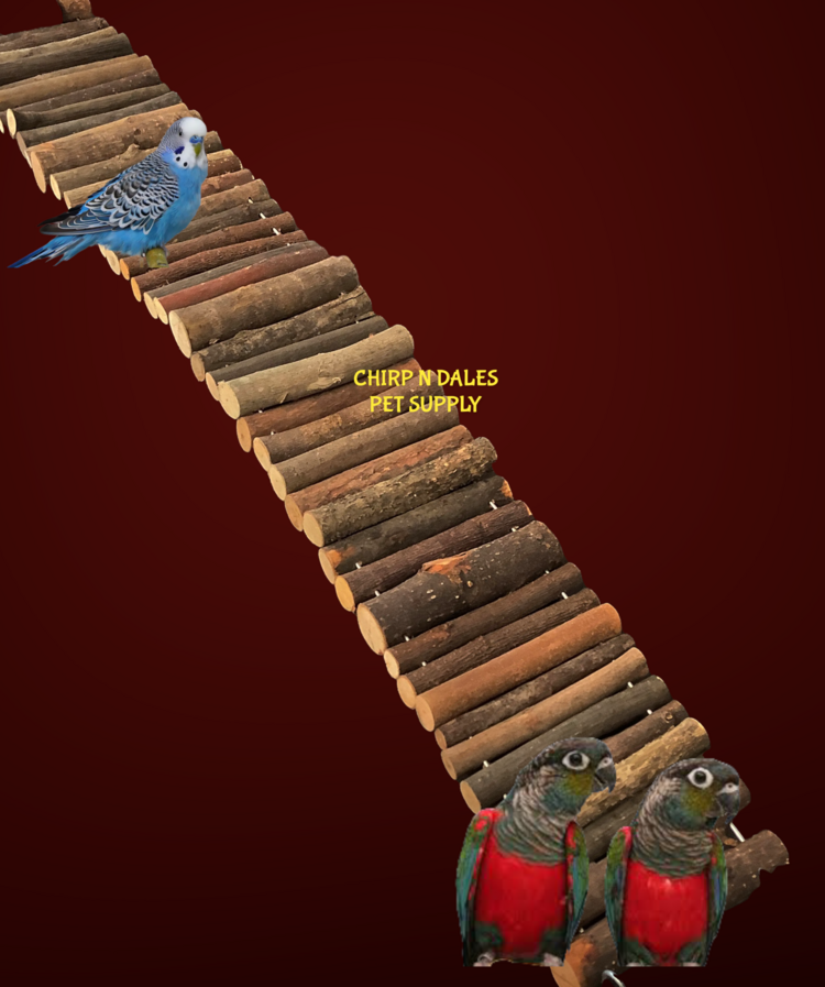 Glitter Pets NATURAL WOOD LADDER FLEXI BIRD WALK A824-2