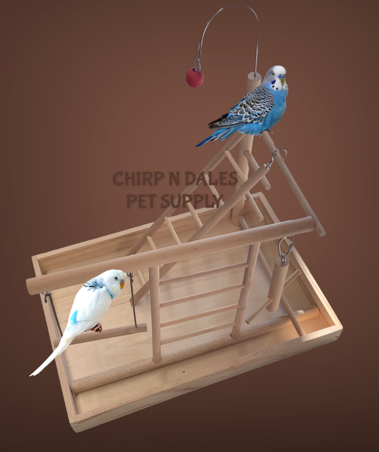 Jolly Jungle SMALL TABLE TOP BIRD PLAY GYM WITH LADDER AND SWING WOOD PLAY STAND