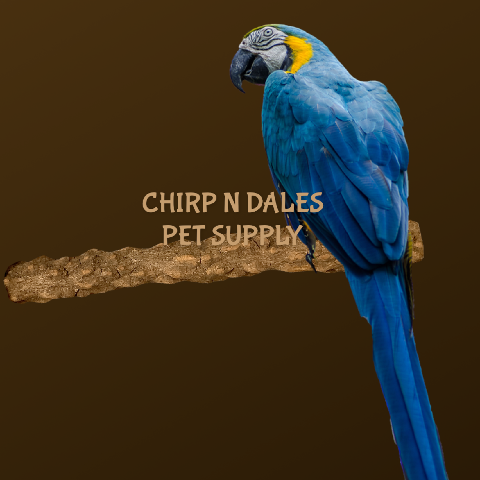 Jolly Jungle Jolly Jungle Straight Branch Pepper Wood Perch