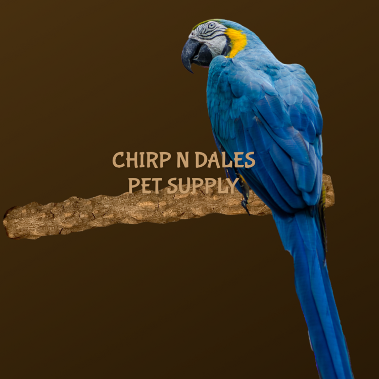 Jolly Jungle Jolly Jungle Straight Branch Pepper Wood Perch