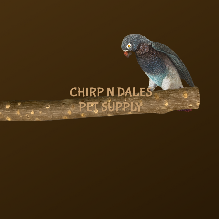 Jolly Jungle Jolly Jungle Straight Branch Pepper Wood Perch