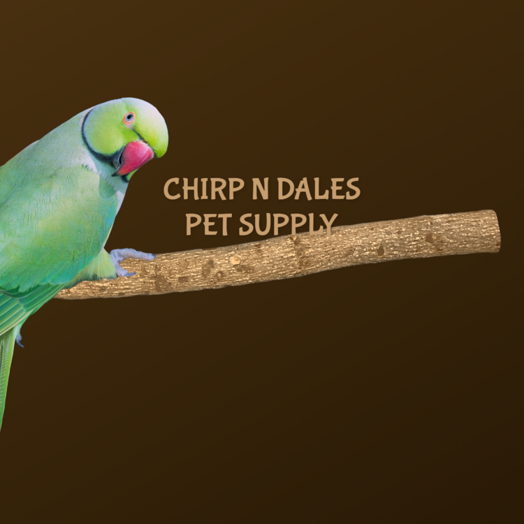 Jolly Jungle Jolly Jungle Straight Branch Pepper Wood Perch