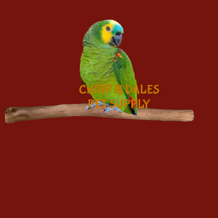 Jolly Jungle Jolly Jungle  Single Branch Natural Wood Perch