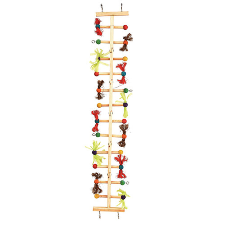 Kings Cages Kings Cages Wooden Ladder for Medium Birds T104