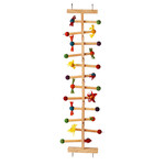 Kings Cages Kings Cages Wooden Ladder for Large Birds T105