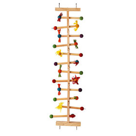 Kings Cages Kings Cages Wooden Ladder for Large Birds T105