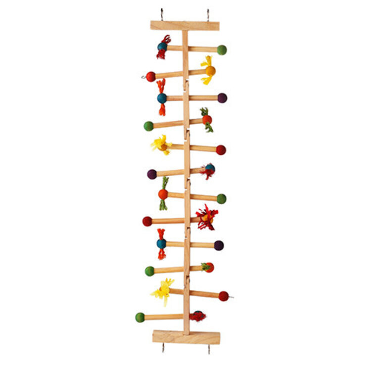 Kings Cages Kings Cages Wooden Ladder for Large Birds T105