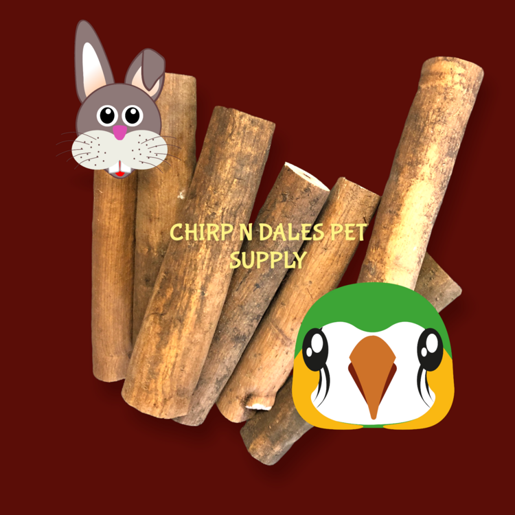 Zoo-Max Sola Stick With Bark (4")