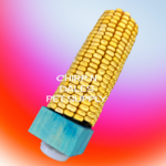 Dried Corn Cobs with Holder H112