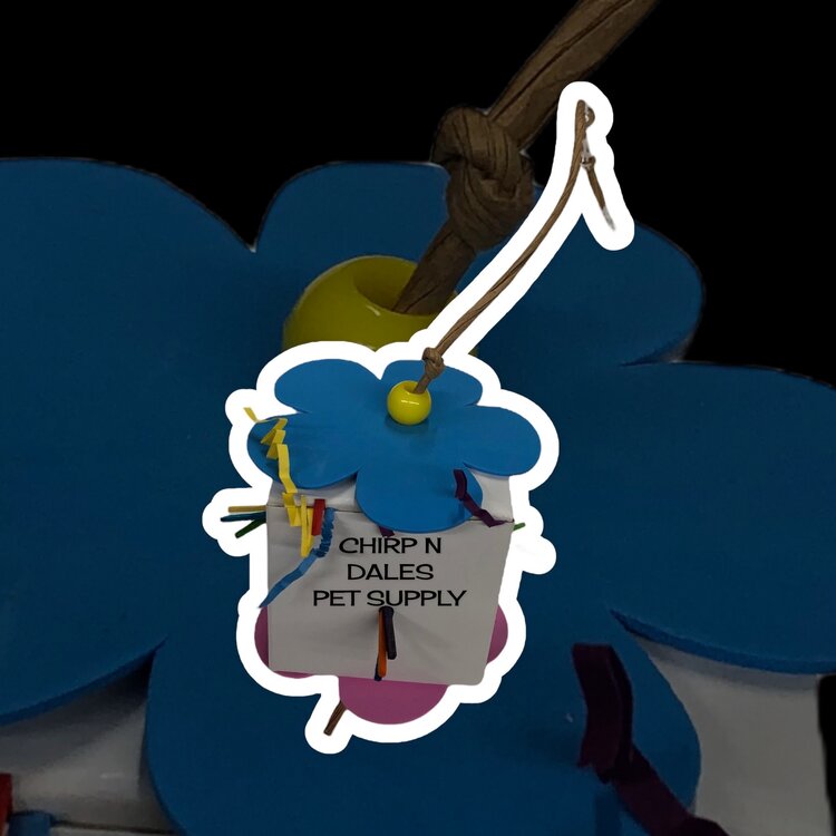 Bonkers Bonkers Foraging Box Assorted