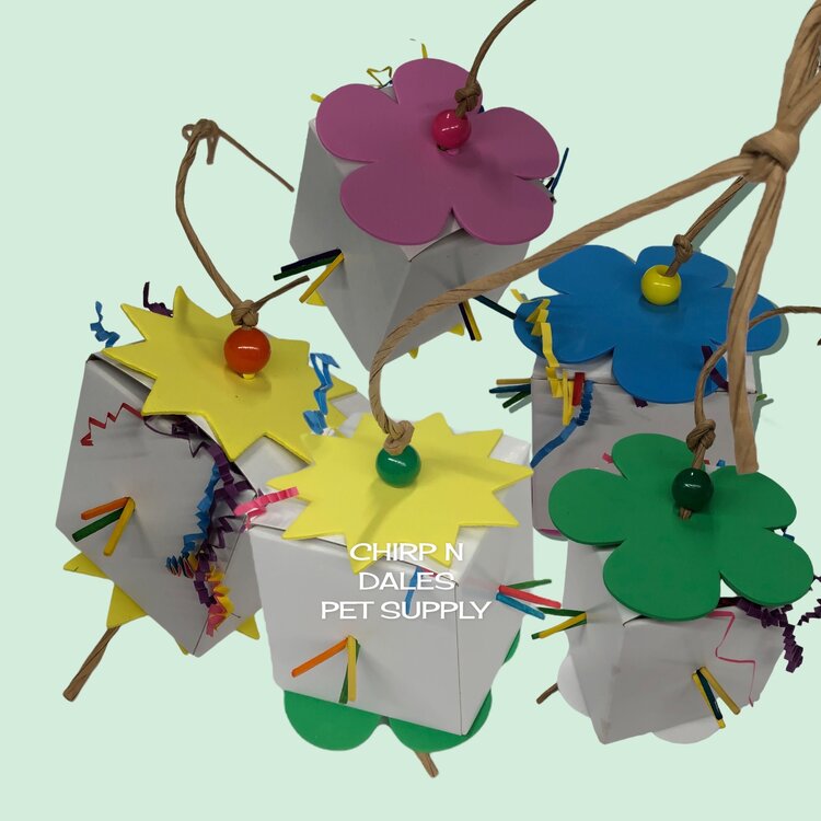 Bonkers Bonkers Foraging Box Assorted