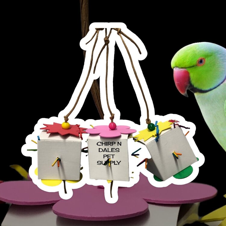 Bonkers Bonkers Foraging Box Assorted