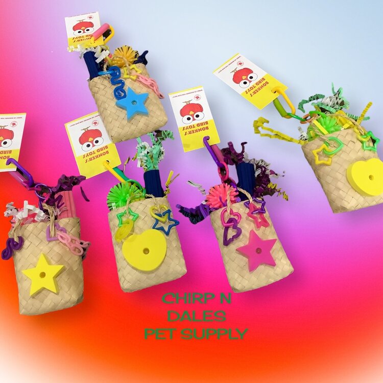 Bonkers Bonkers Beach Bag Bonanza