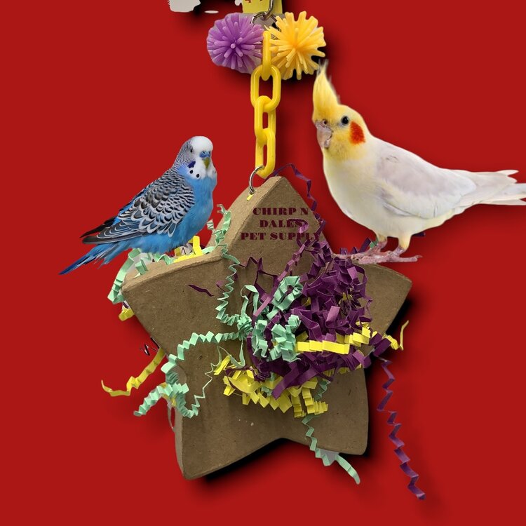 Bonkers Shining Star Foraging Box