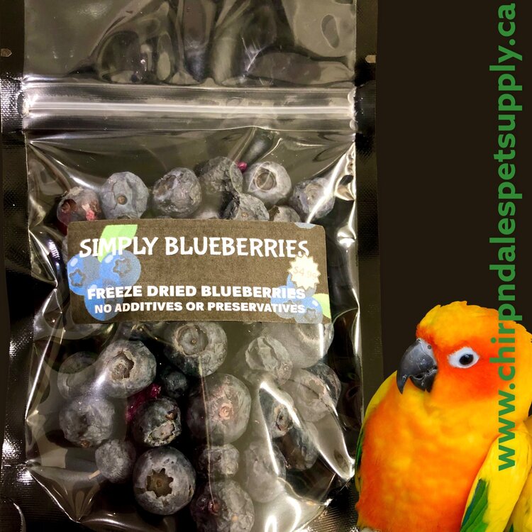 Simply Blueberries Freeze Dried Blueberries