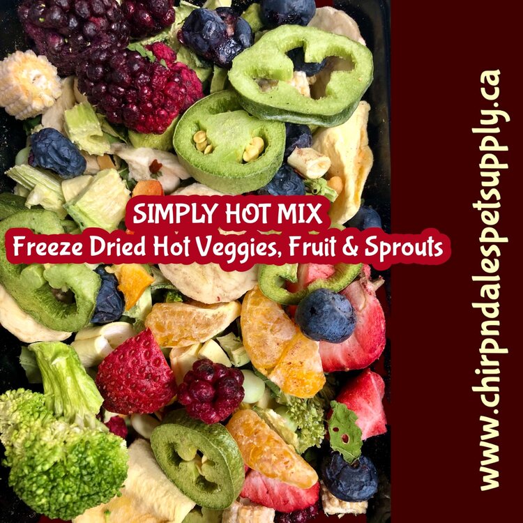 CND Freeze Dried Products Simply Hot Mix  Freeze Dried Hot Veggie, Fruit & Sprouts