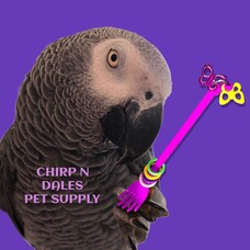 Bonkers Bonkers Hand’ee Foot Toy Assorted Colors 6”