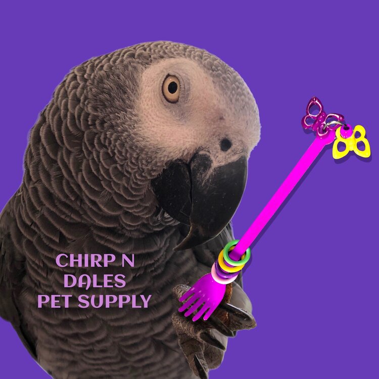 Bonkers Bonkers Hand’ee Foot Toy Assorted Colors 6”