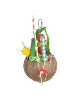 Hari HARI Smart Play Parrot Toy, Colada