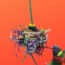 Bonkers Bonkers Jumbo Stuffed Grass Ball 5”