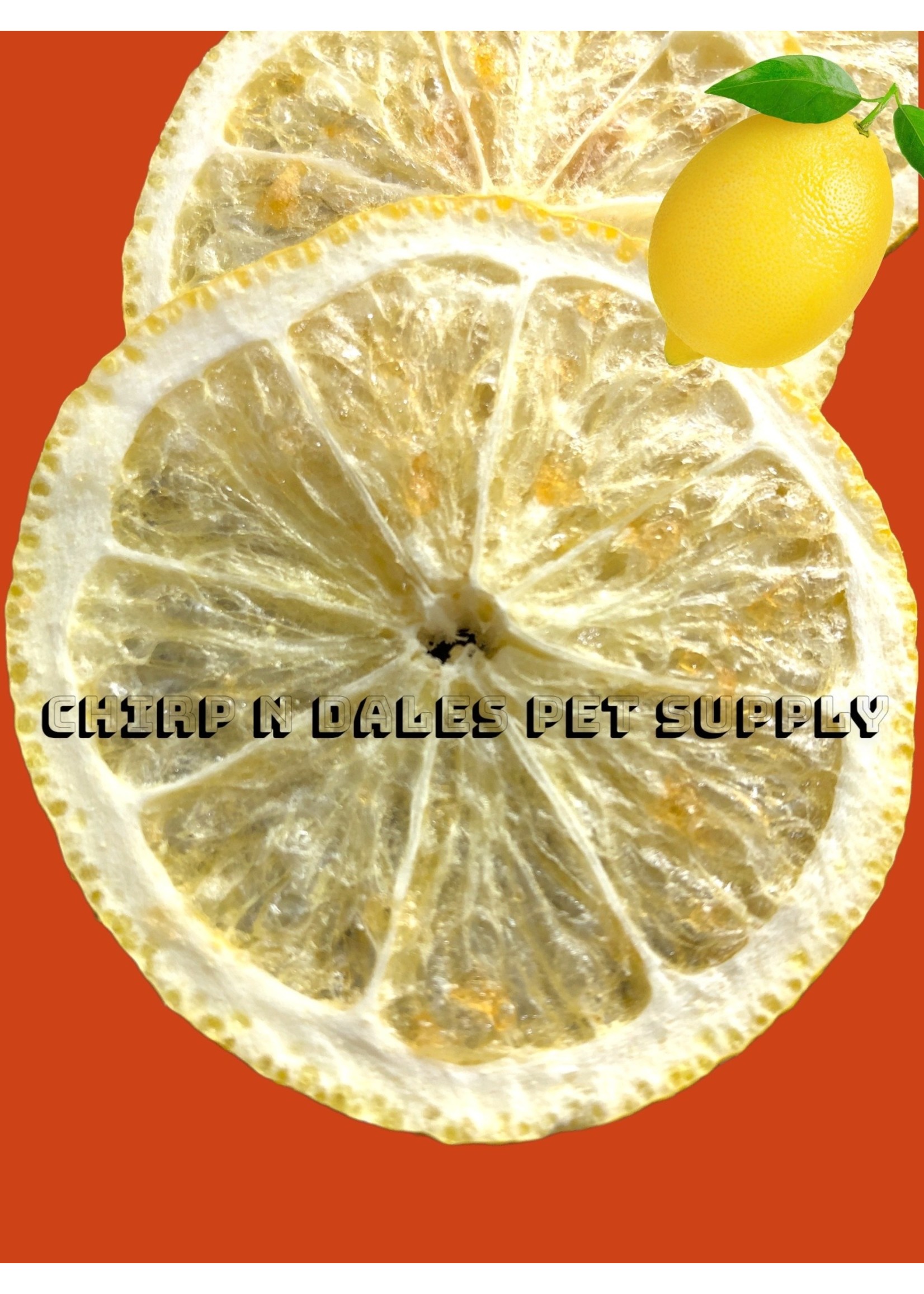 CND Freeze Dried Products Simply Lemons Freeze Dried Lemon Slices