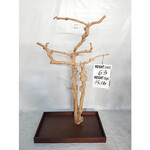 Kings Cages Kings Cages Java Enrichment Playstand Tree Small-181