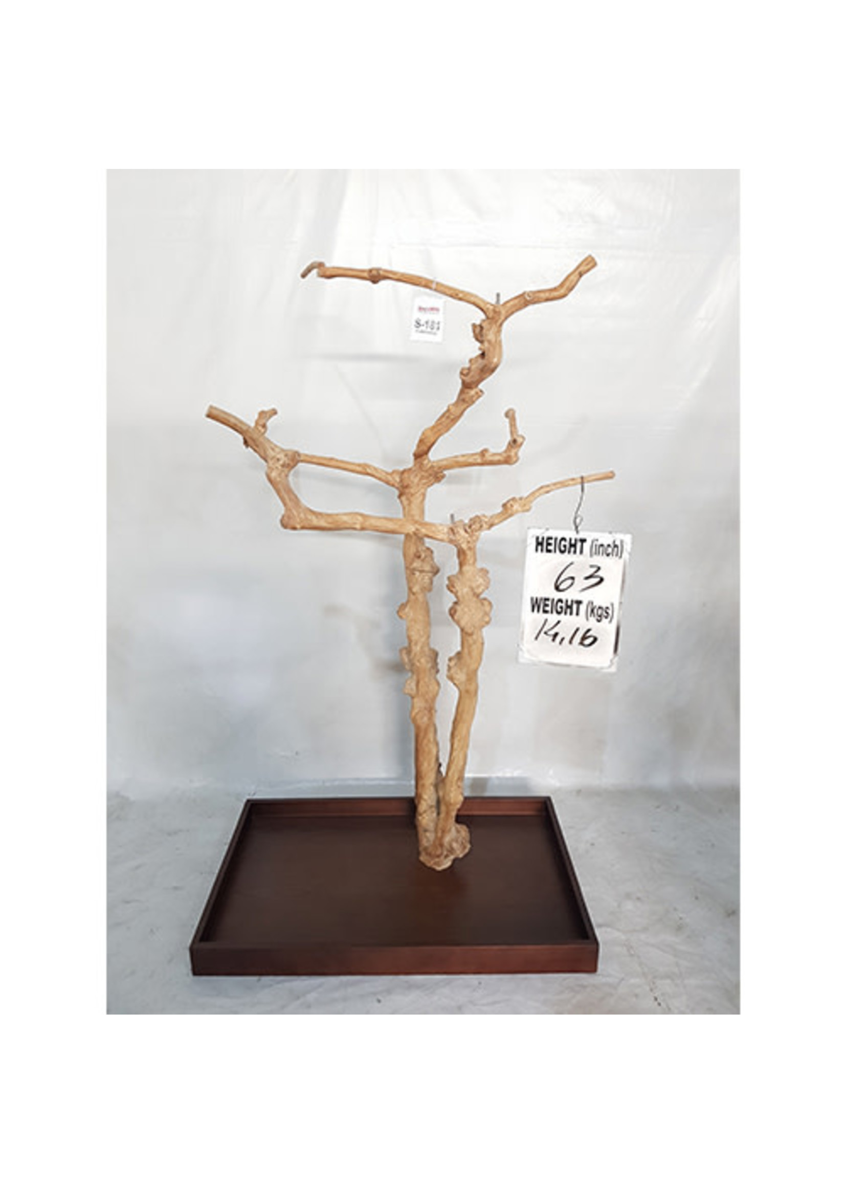 Kings Cages Kings Cages Java Enrichment Playstand Tree Small-181