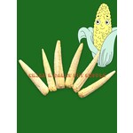 CND Freeze Dried Products SIMPLY WHOLE BABY CORN FREEZE DRIED
