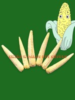 CND Freeze Dried Products SIMPLY WHOLE BABY CORN FREEZE DRIED