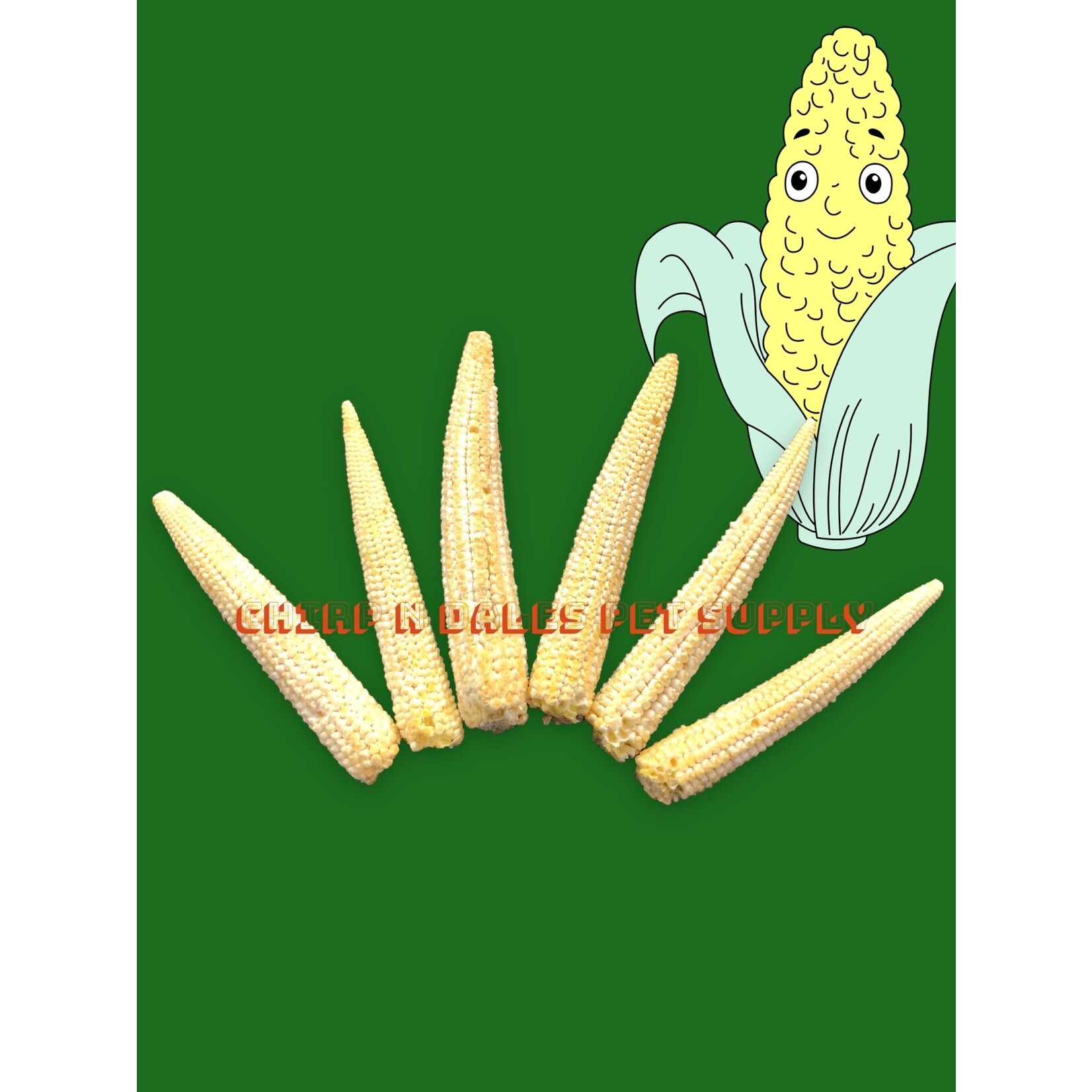 CND Freeze Dried Products SIMPLY WHOLE BABY CORN FREEZE DRIED