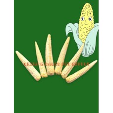CND Freeze Dried Products SIMPLY WHOLE BABY CORN FREEZE DRIED