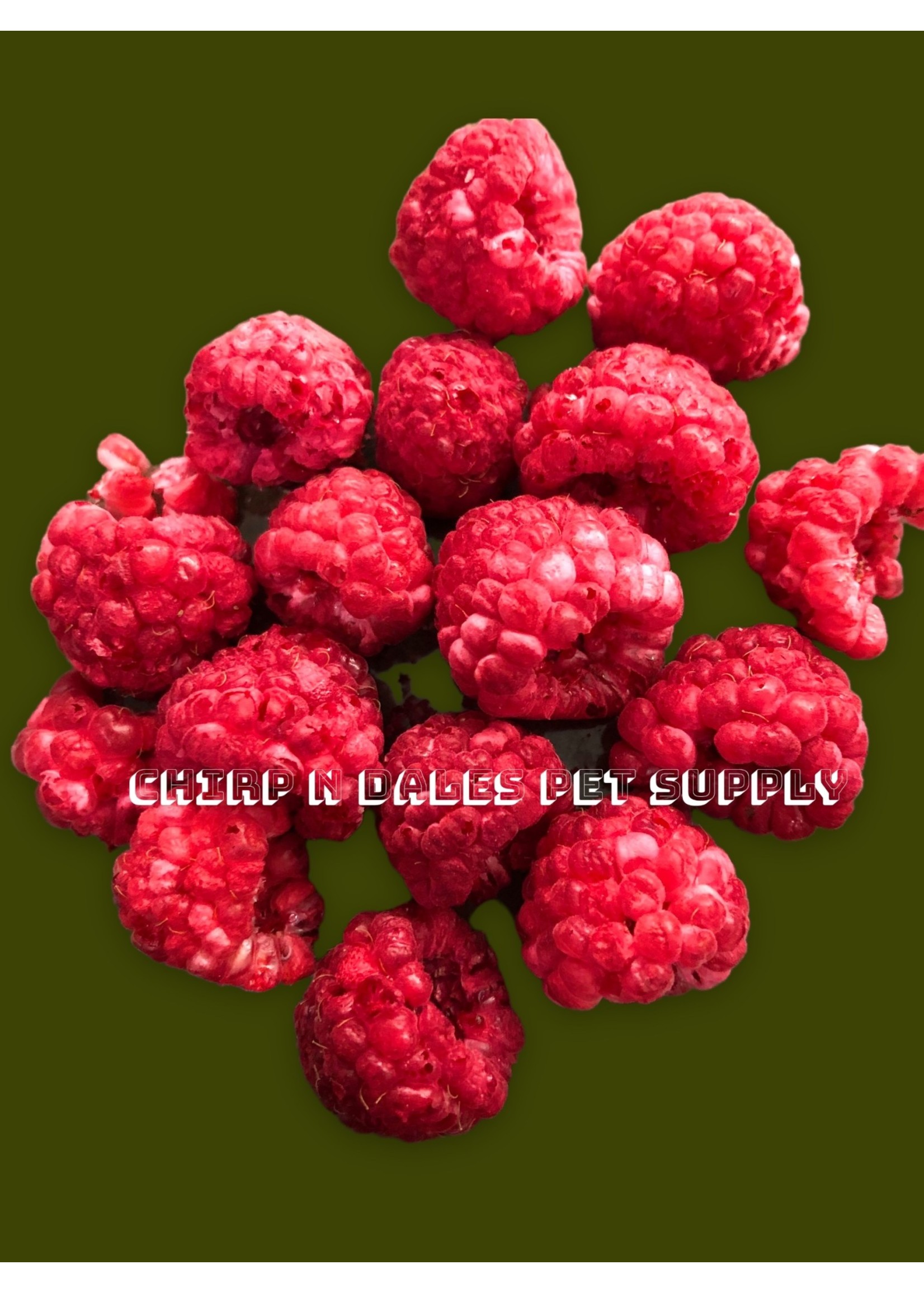 CND Freeze Dried Products Simply Raspberries Freeze Dried