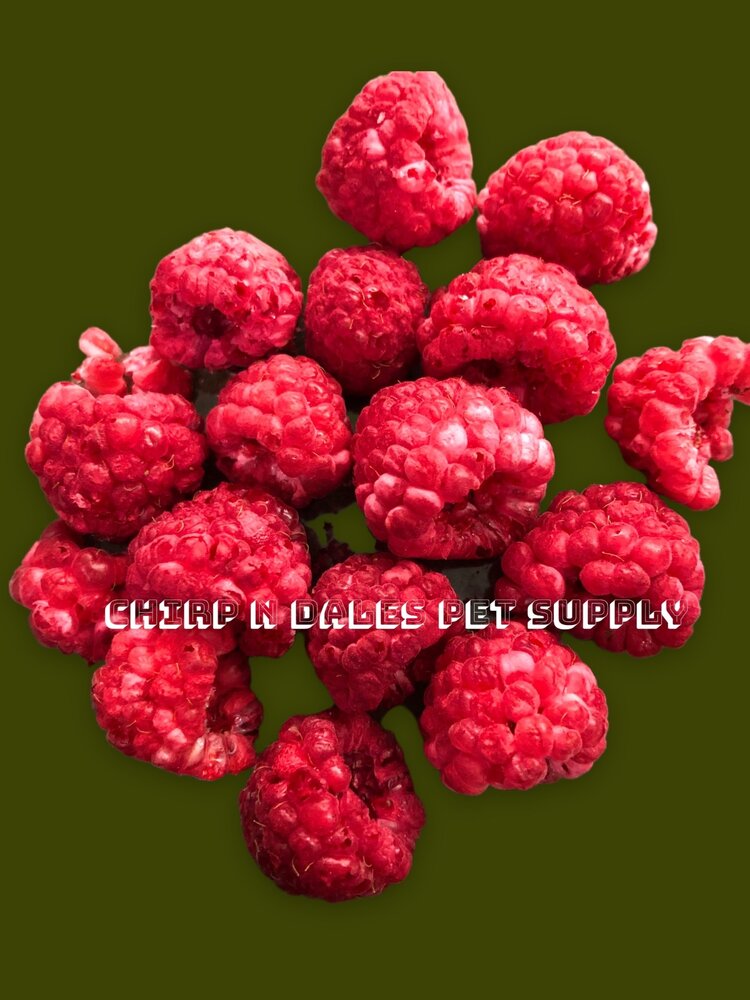 CND Freeze Dried Products Simply Raspberries Freeze Dried