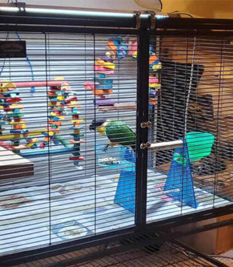 M&M Cage Company LED LIGHTING SYSTEM FOR HOOKBILLS -10” 18” 24”