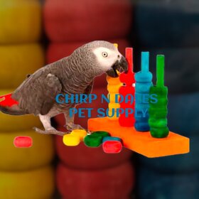 Zoo-Max Zoo Max The Teacher