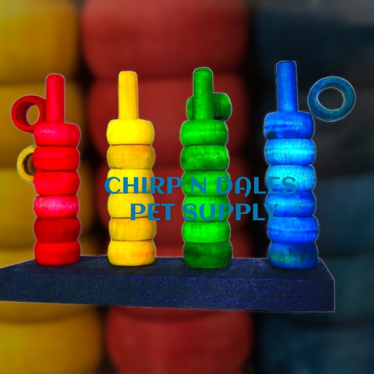 Zoo-Max Zoo Max The Teacher