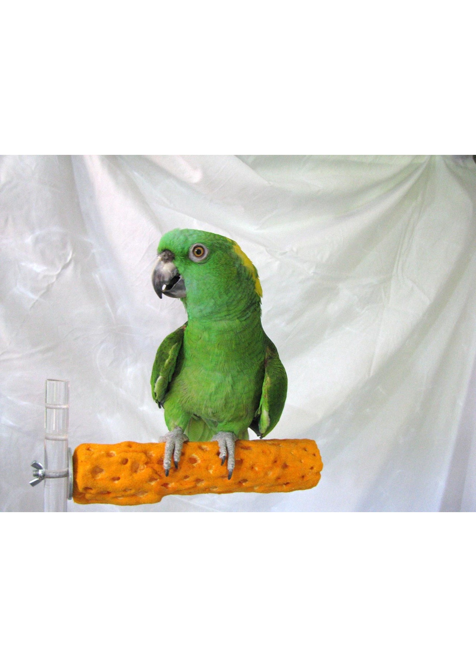 Polly's  Pet Products Polly's Beach Sands Perch Small Assorted Colors