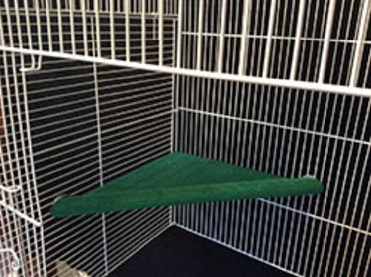 Polly's  Pet Products Polly's Lazy Loft Small