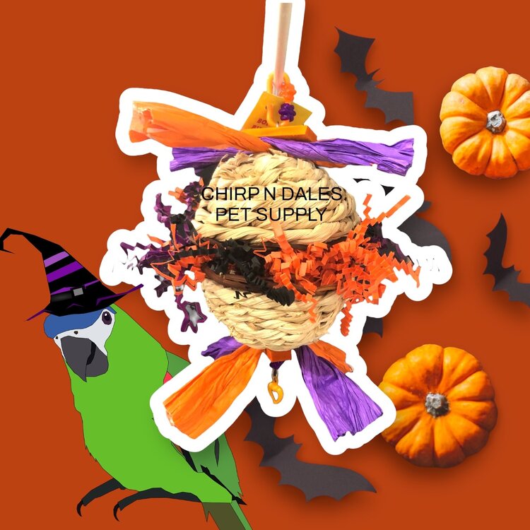 Bonkers Bonkers Halloween Shred My Nest