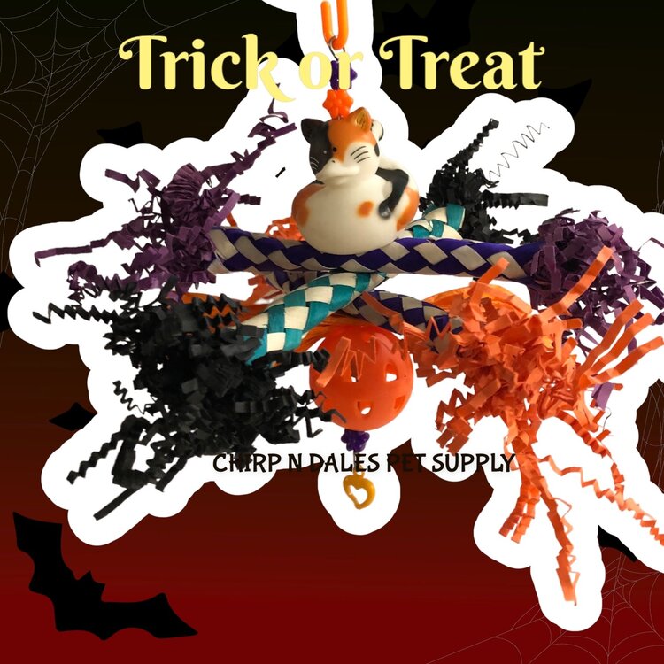 Bonkers Bonkers Halloween Spooky Spinners (Assorted Designs)